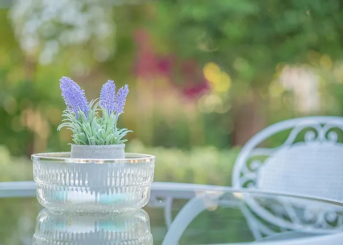 θησέως Georgias Private Paradise *